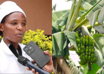 Menya uburyohe buhebuje bw’inzoga ya “MPA NGUHE” yengwa n’Akahebuje Ltd yo mu Karere ka Rwamagana