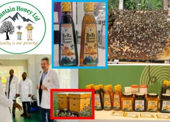 Huye: RERA Mountain Honey ishishikajwe cyane no kubyutsa Umwuga w’Ubuvumvu wari ugiye gukendera