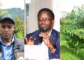 Abahinzi bafashijwe na Green Gicumbi kuvanga imyaka n’ibiti bitayangiza byabazamuriye Umusaruro