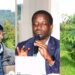 Abahinzi bafashijwe na Green Gicumbi kuvanga imyaka n’ibiti bitayangiza byabazamuriye Umusaruro