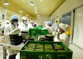 Ibikomoka ku buhinzi byoherezwa hanze, byinjirije u Rwanda miliyari 6.046 Frw