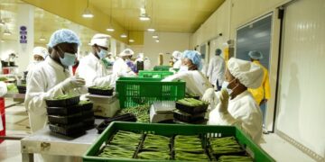 Ibikomoka ku buhinzi byoherezwa hanze, byinjirije u Rwanda miliyari 6.046 Frw