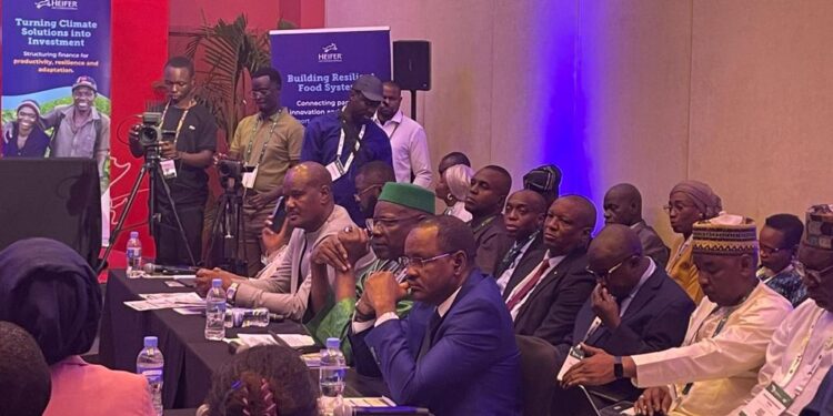 Sahel igomba gushora imari mu buhinzi n’ubworozi burambye aho guhora ihangana n’amapfa